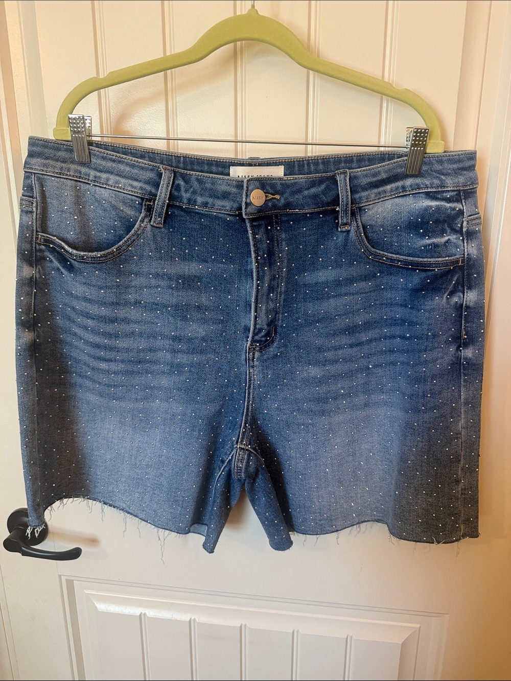 Risen Studded Frayed Hem Denim Shorts